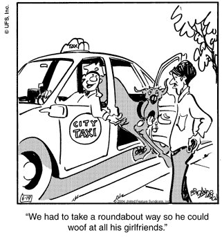 marmaduke